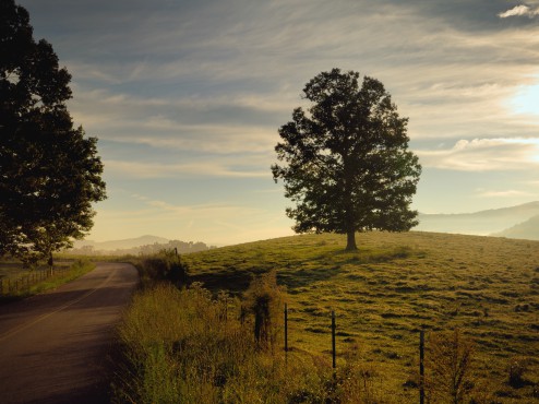 On the Road