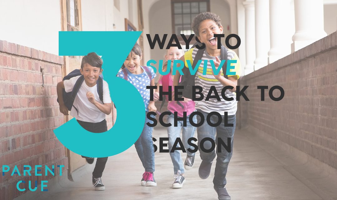 3 Ways to Survive the Back to School Season