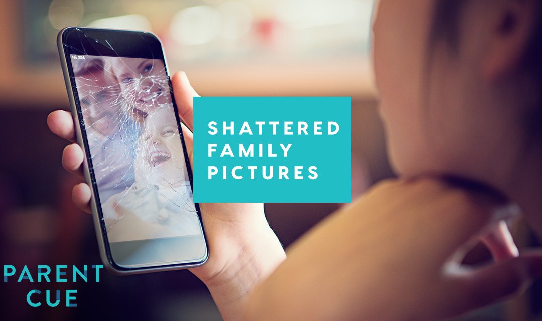 Shattered Family Pictures