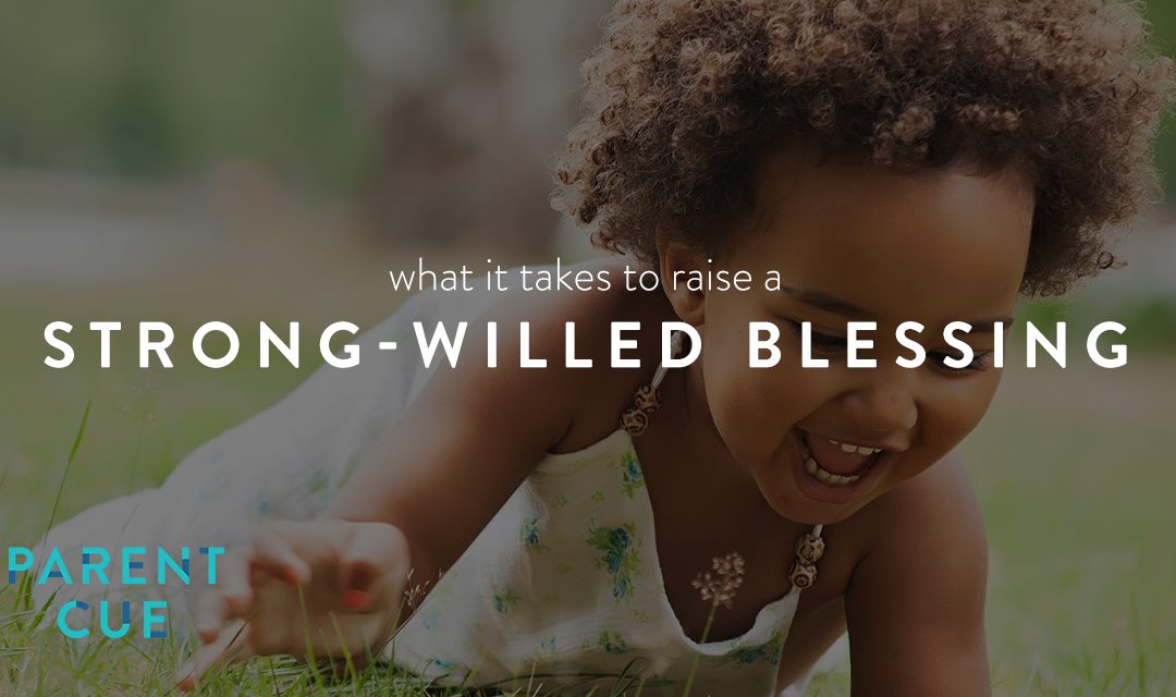 What It Takes to Raise a Strong-Willed Blessing