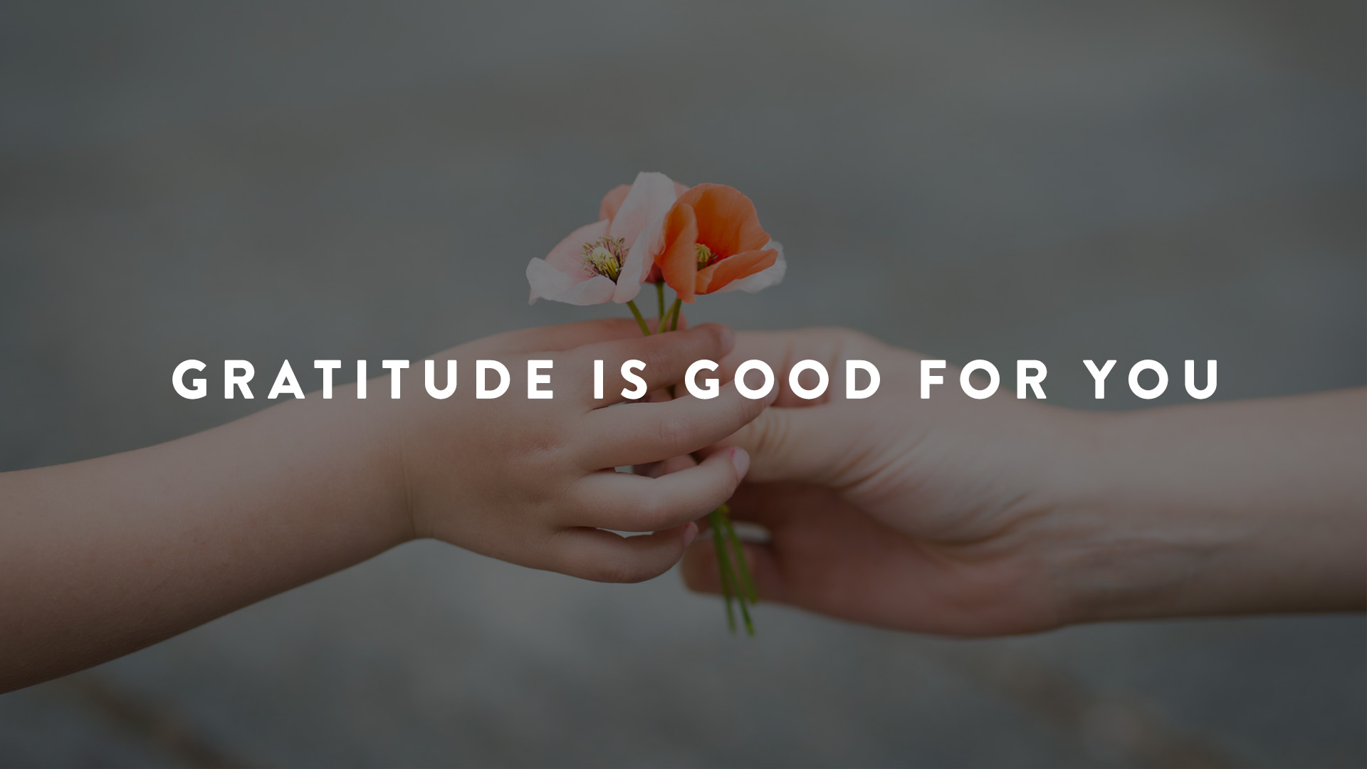 Gratitude is good for you