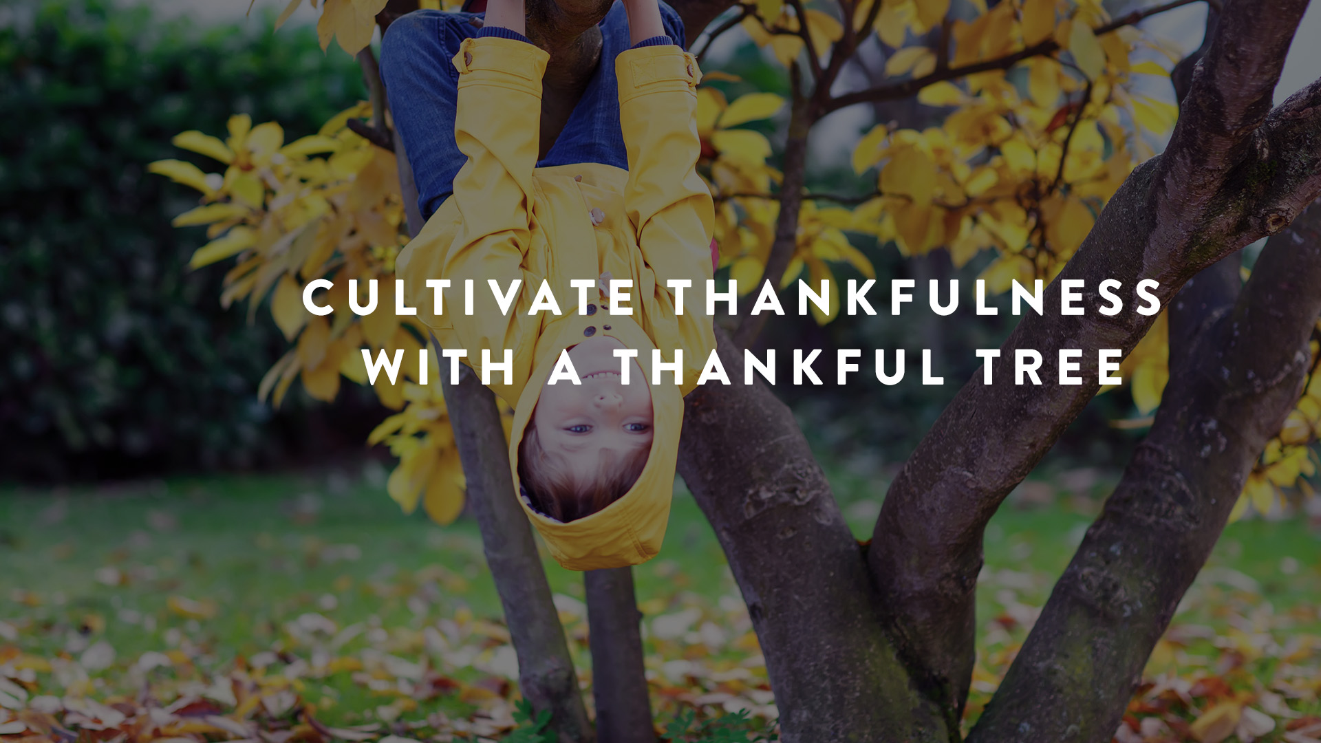 Cultivating Thankfulness with a thankful tree