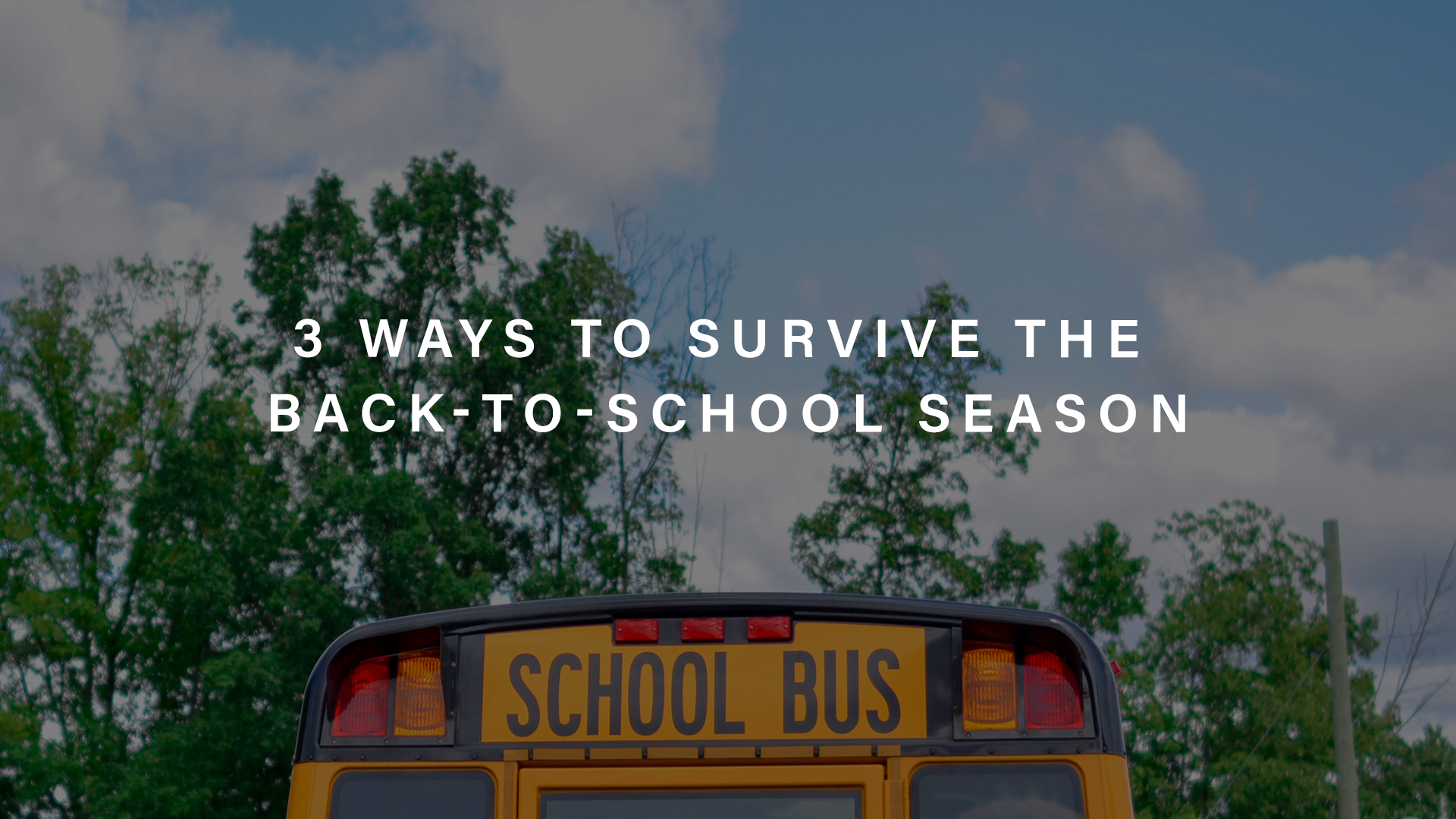 3 Ways to Survive BtS Season