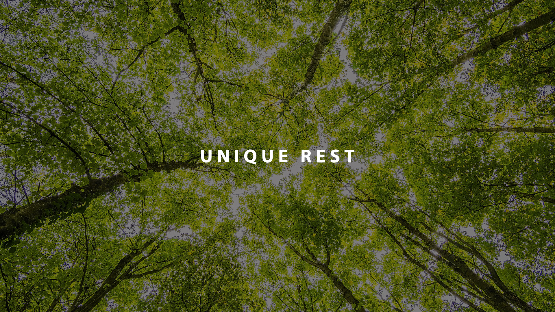 Parent Cue Blog | Unique Rest